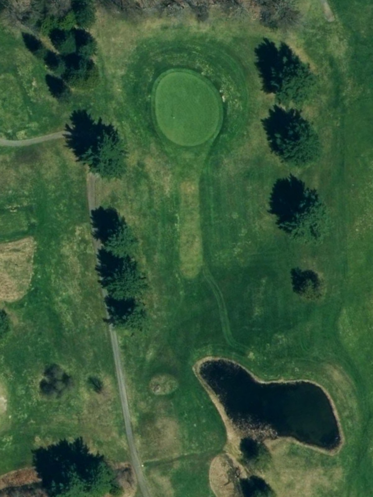 Hole 8 satellite
