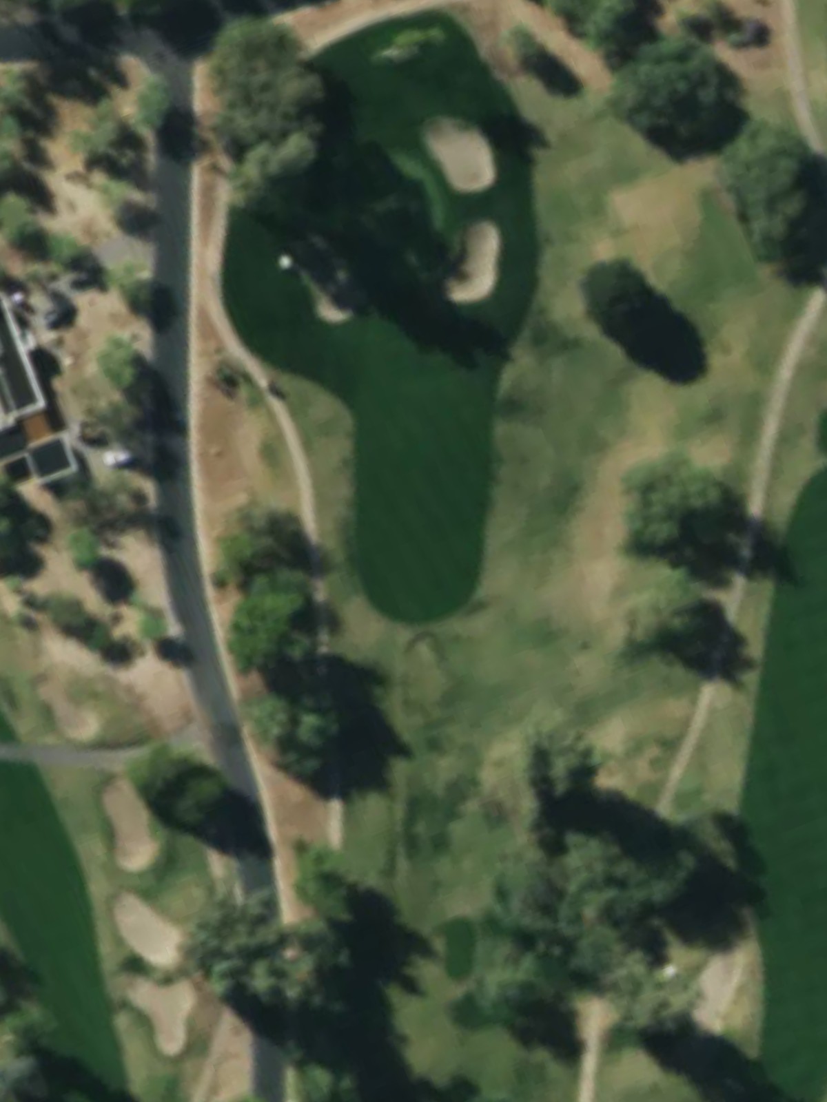 Hole 8 satellite