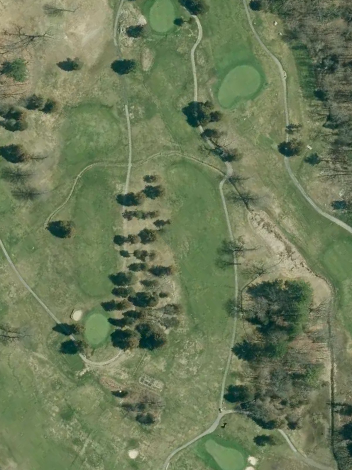 Hole 7 satellite