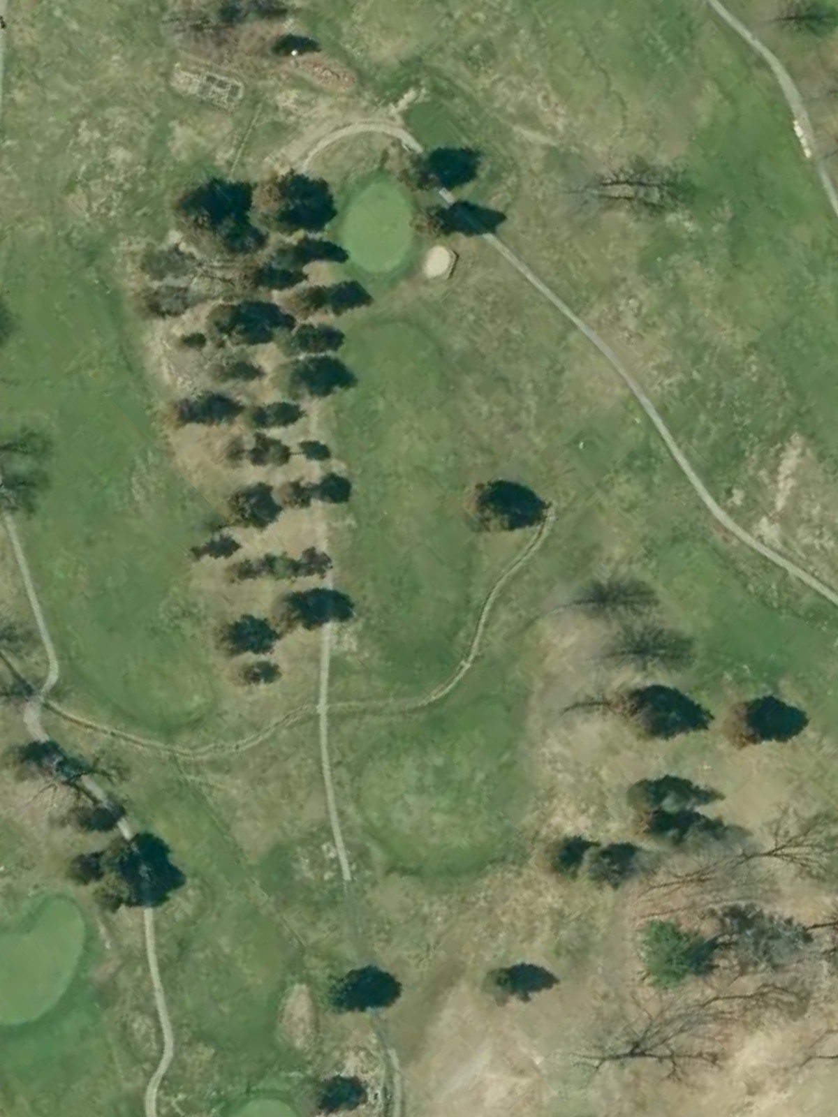 Hole 8 satellite