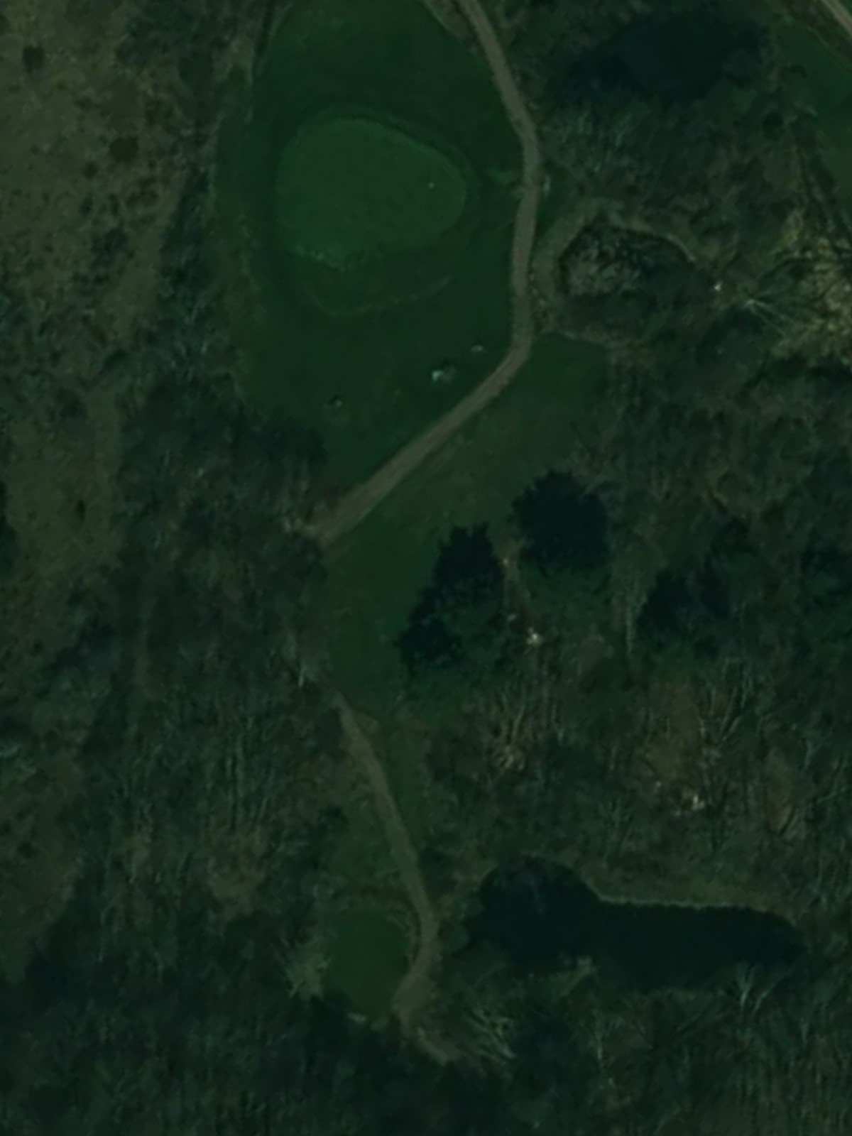Hole 11 satellite