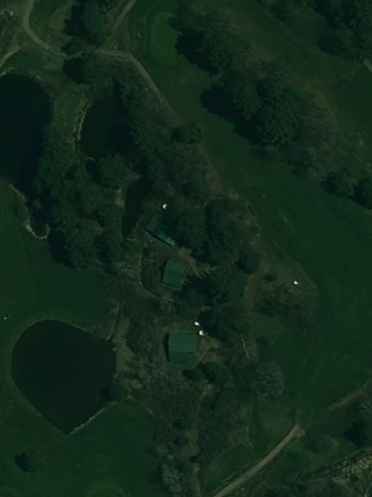 Hole 12 satellite