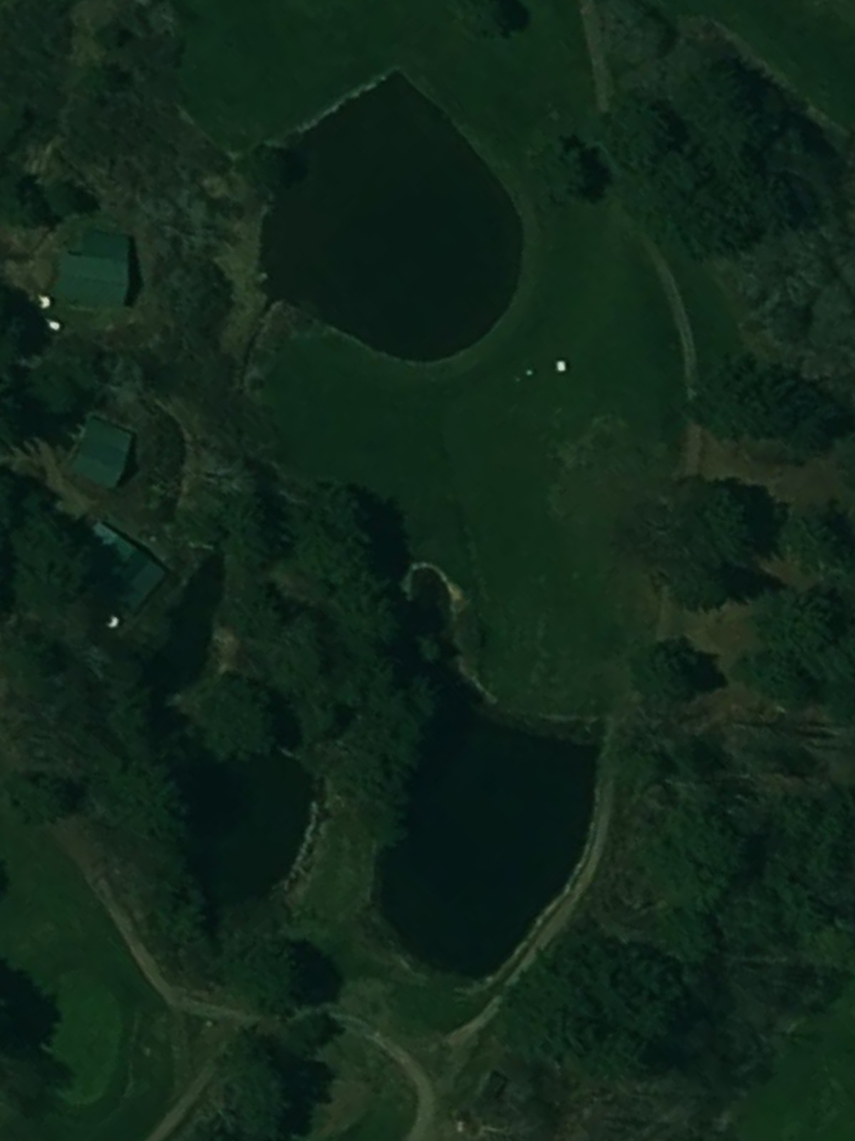 Hole 13 satellite