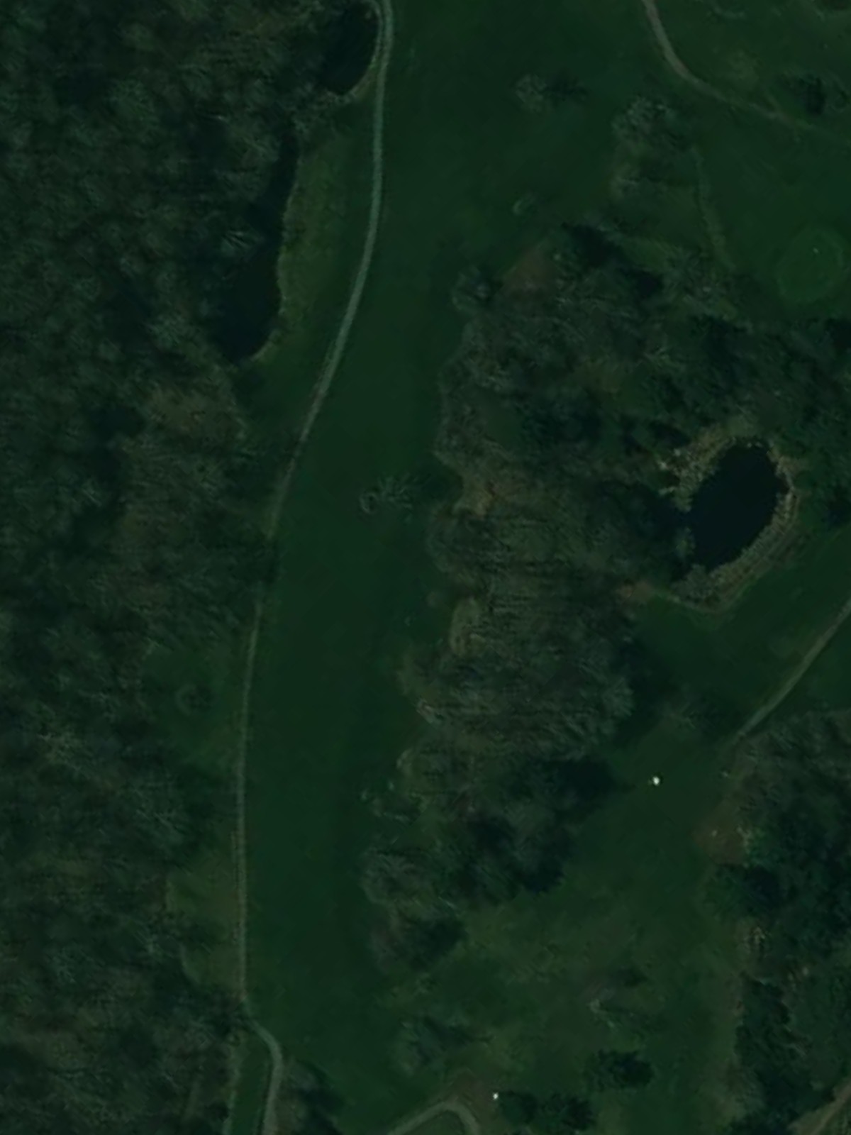 Hole 6 satellite
