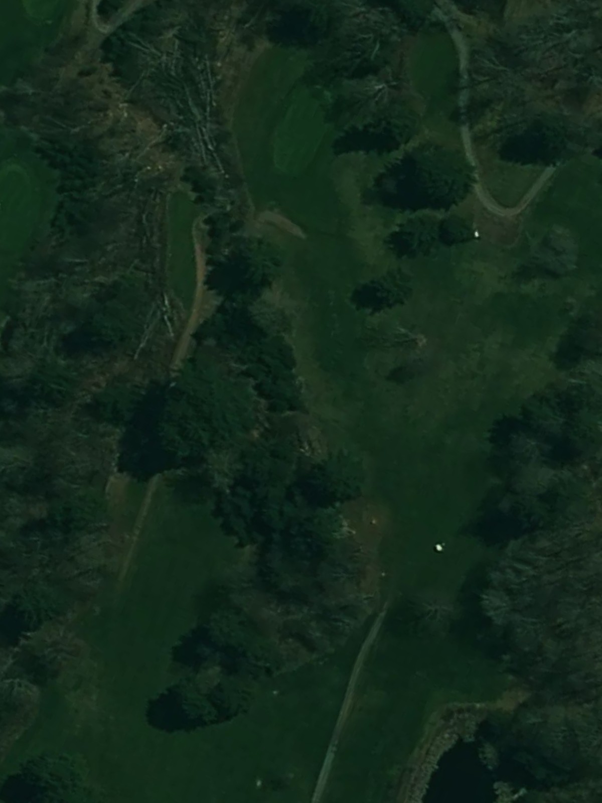 Hole 8 satellite