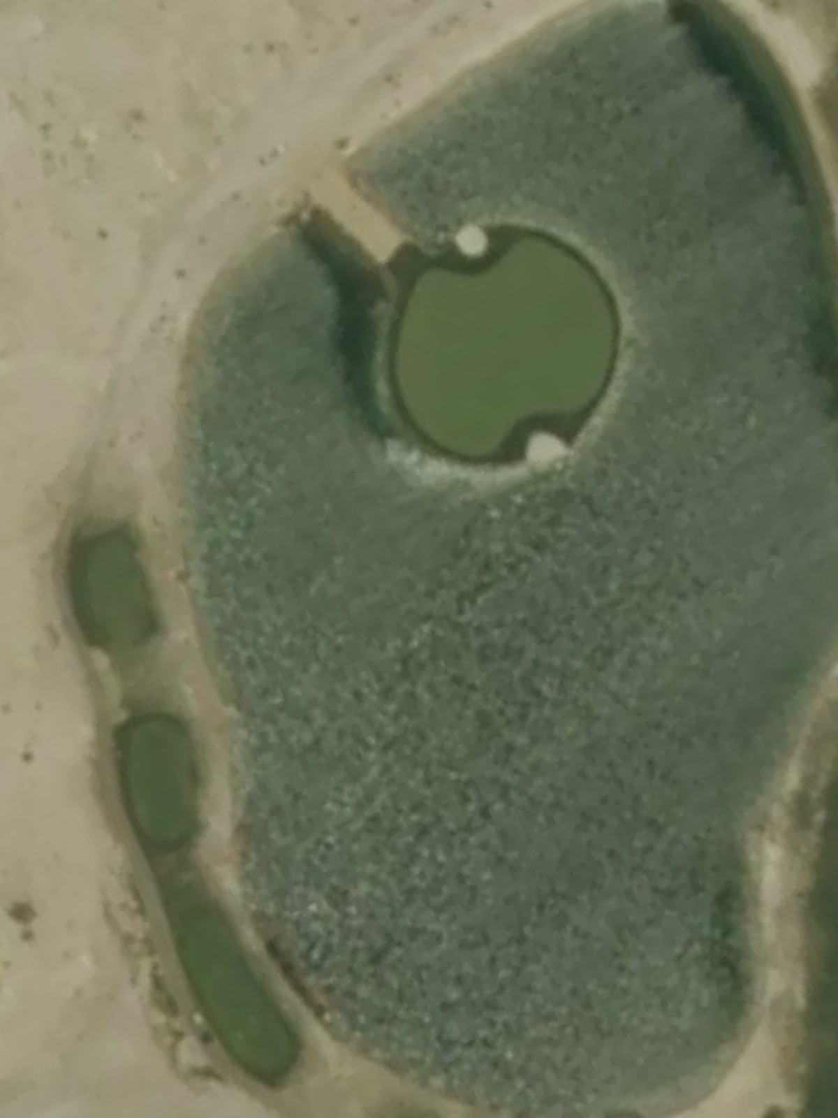 Hole 15 satellite