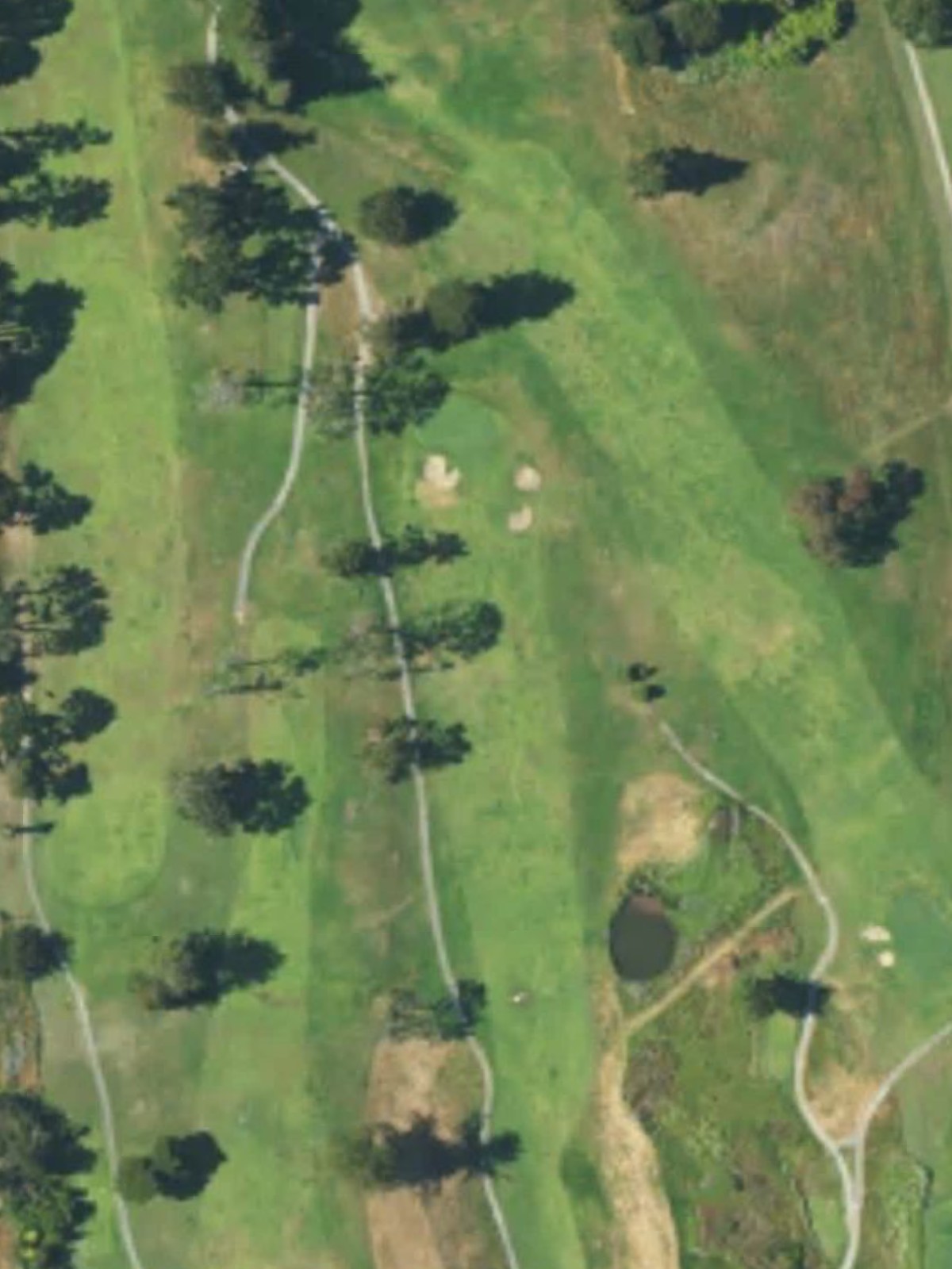 Hole 15 satellite