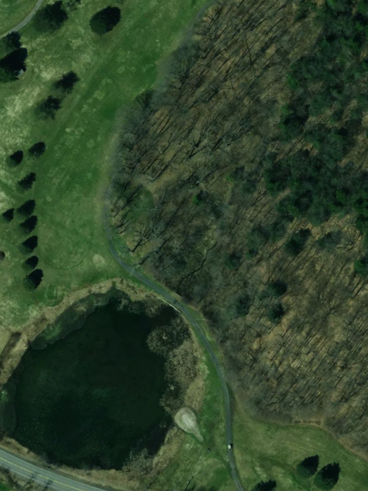 Hole 15 satellite