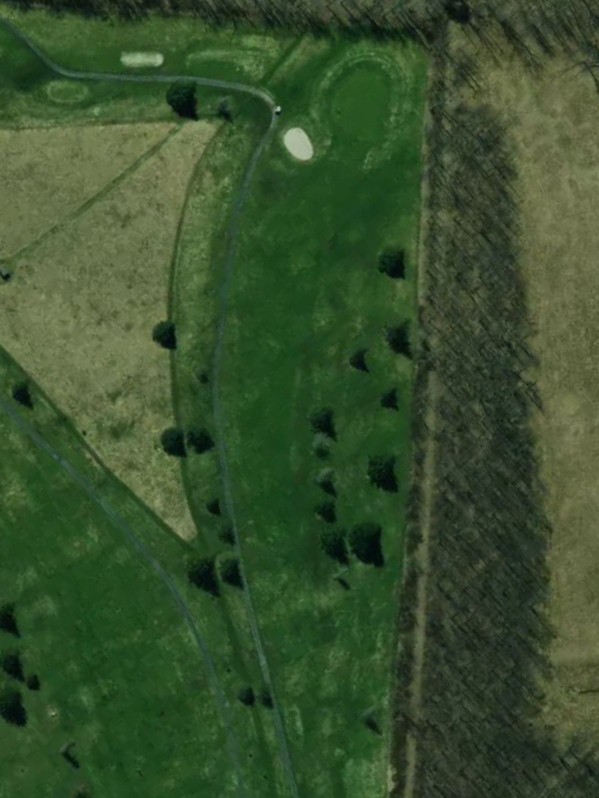 Hole 4 satellite