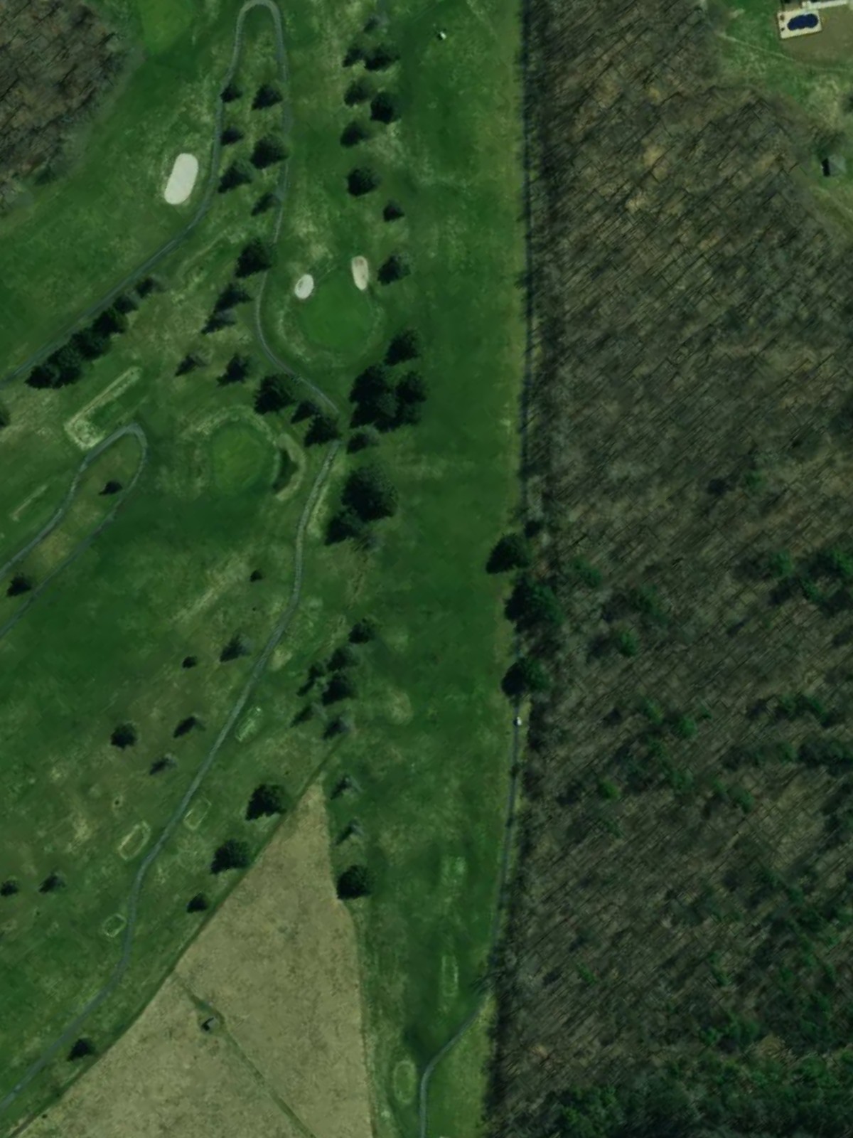 Hole 5 satellite