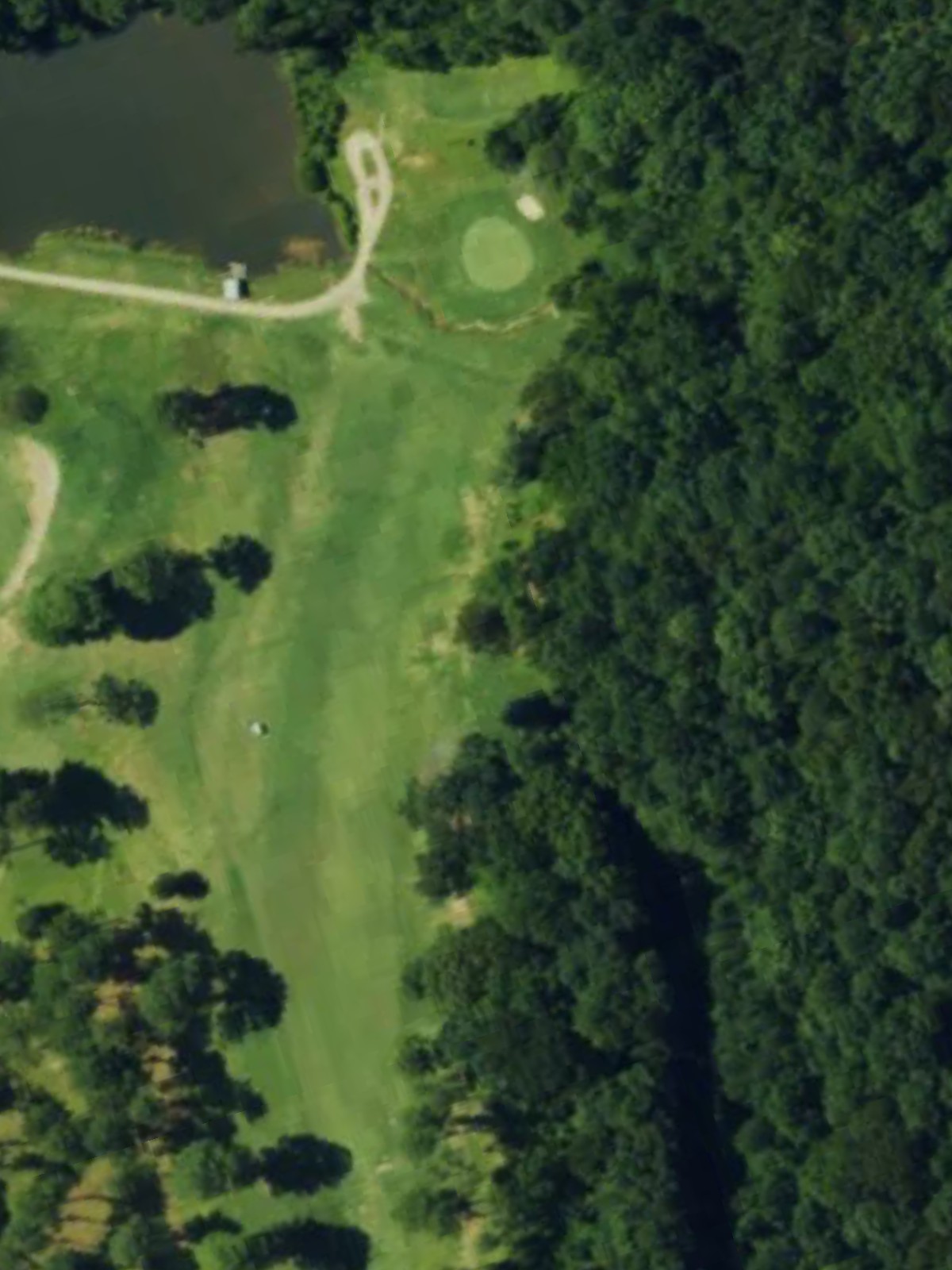 Hole 8 satellite