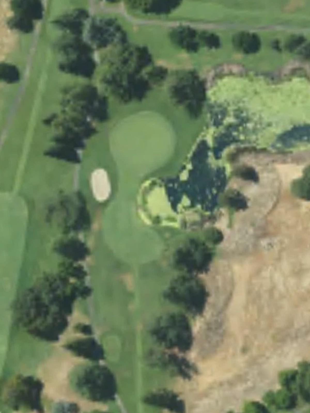 Hole 7 satellite
