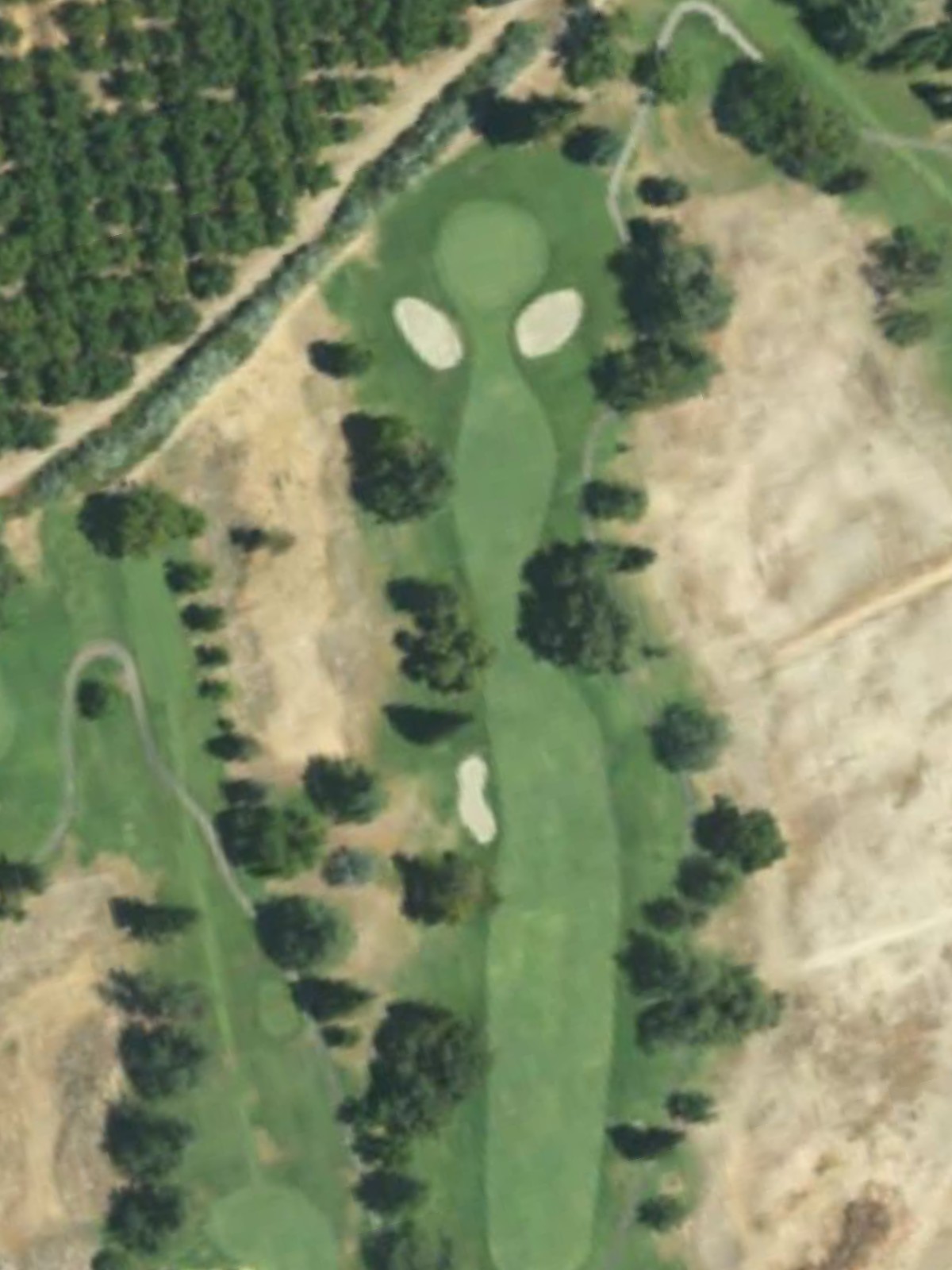 Hole 8 satellite