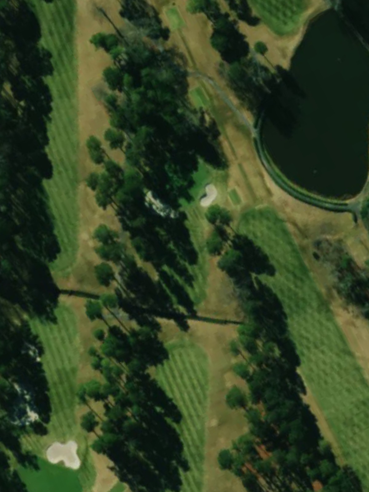 Hole 15 satellite