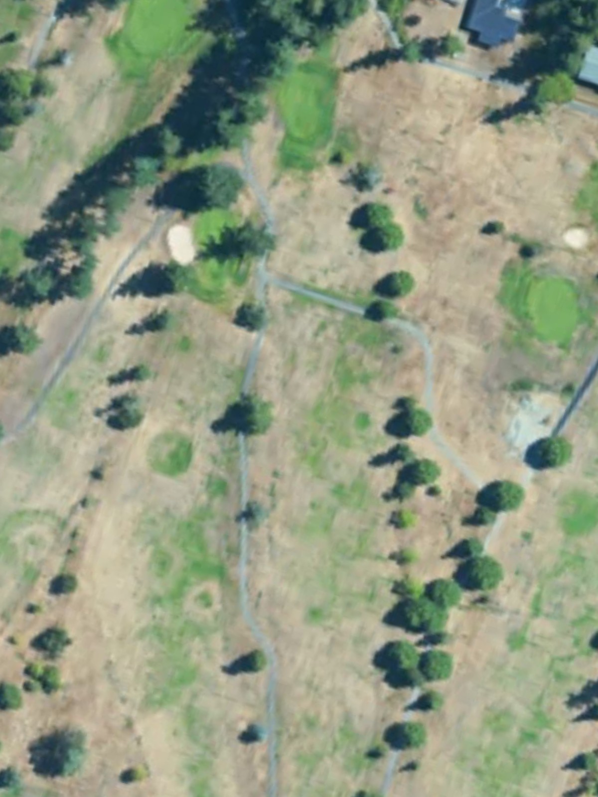 Hole 11 satellite