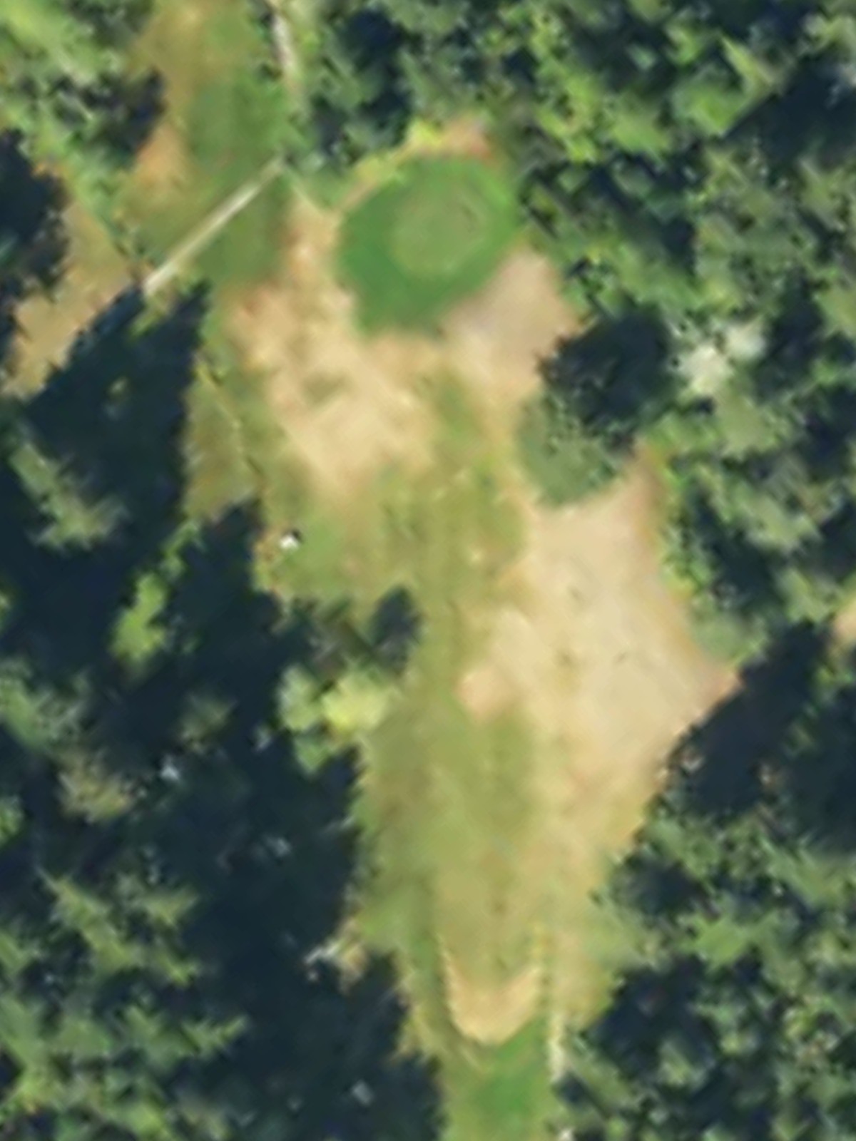 Hole 5 satellite