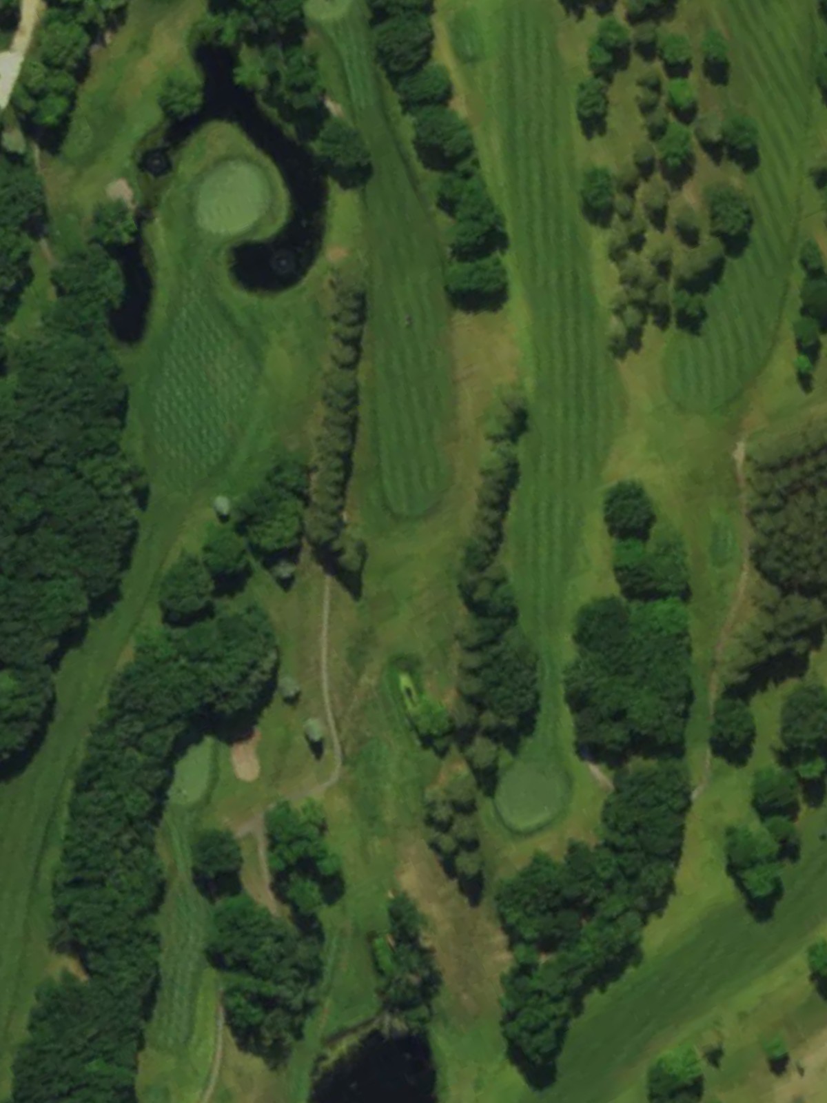 Hole 12 satellite