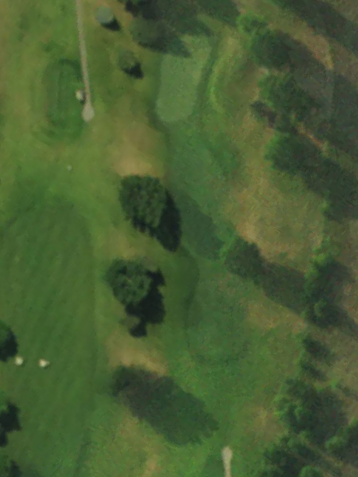 Hole 4 satellite