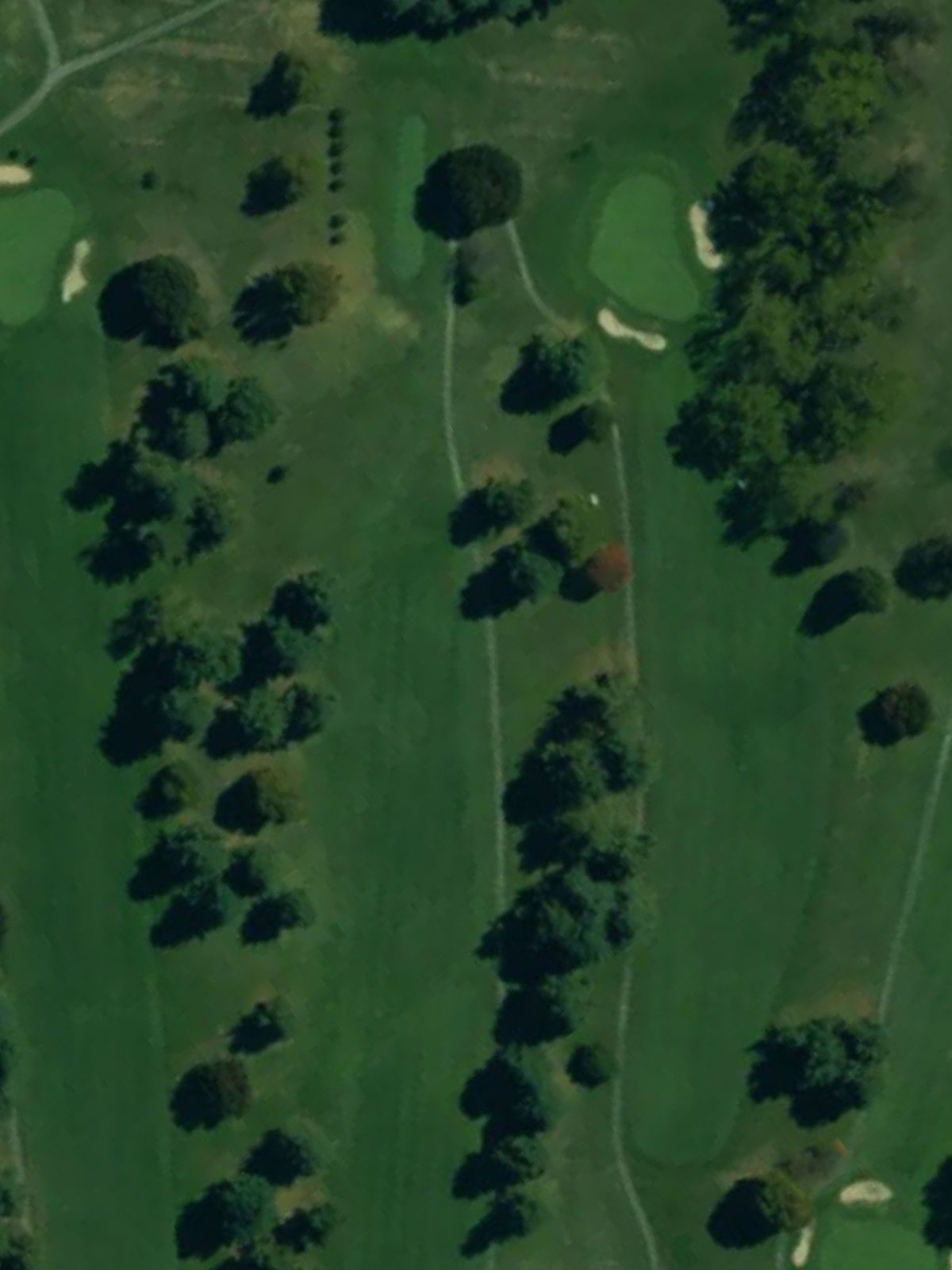 Hole 7 satellite