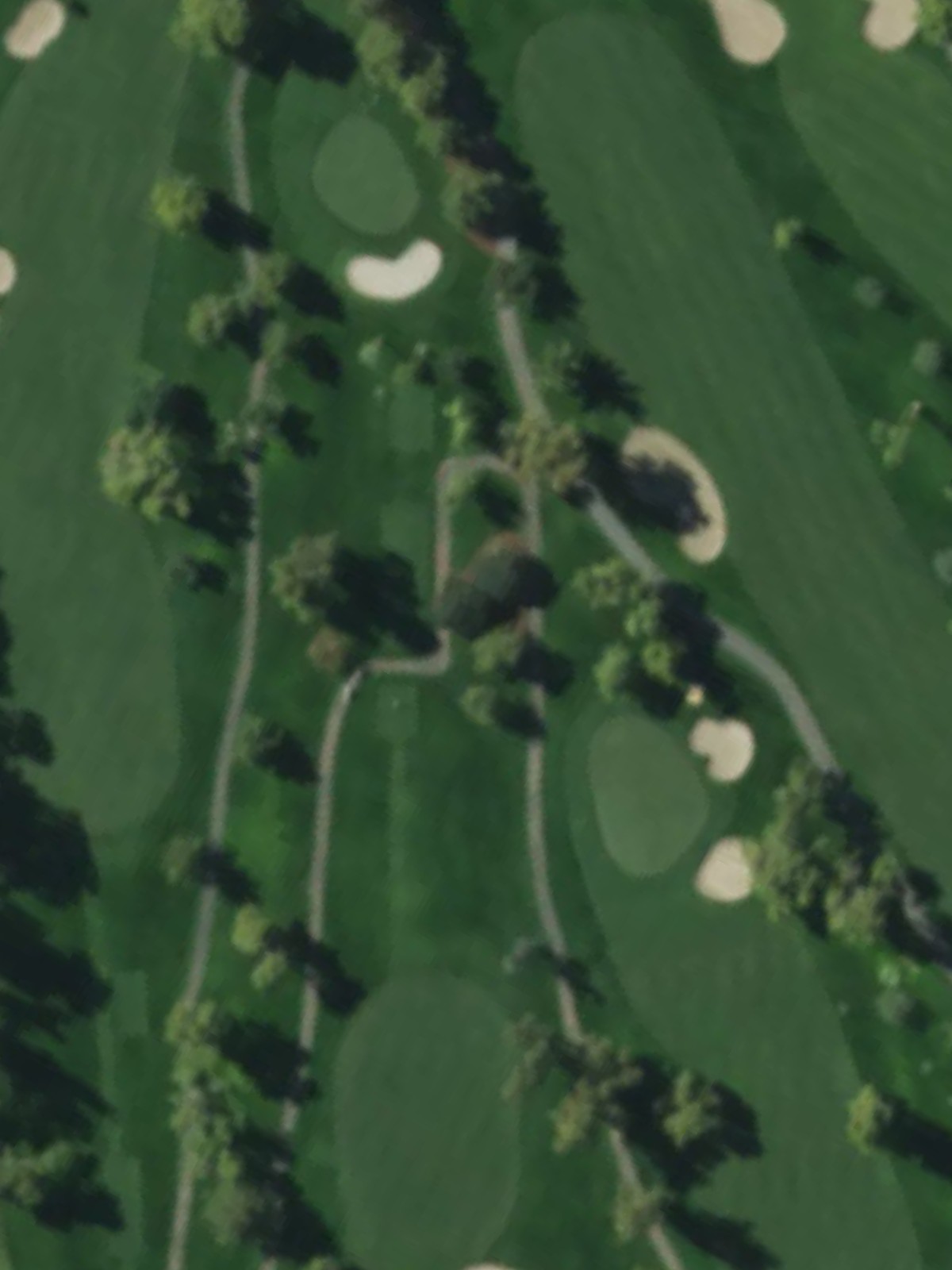 Hole 8 satellite