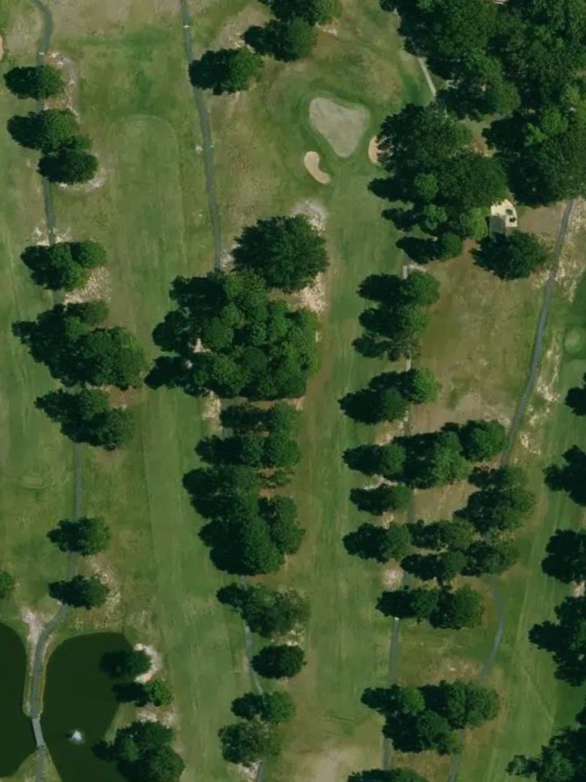 Hole 12 satellite