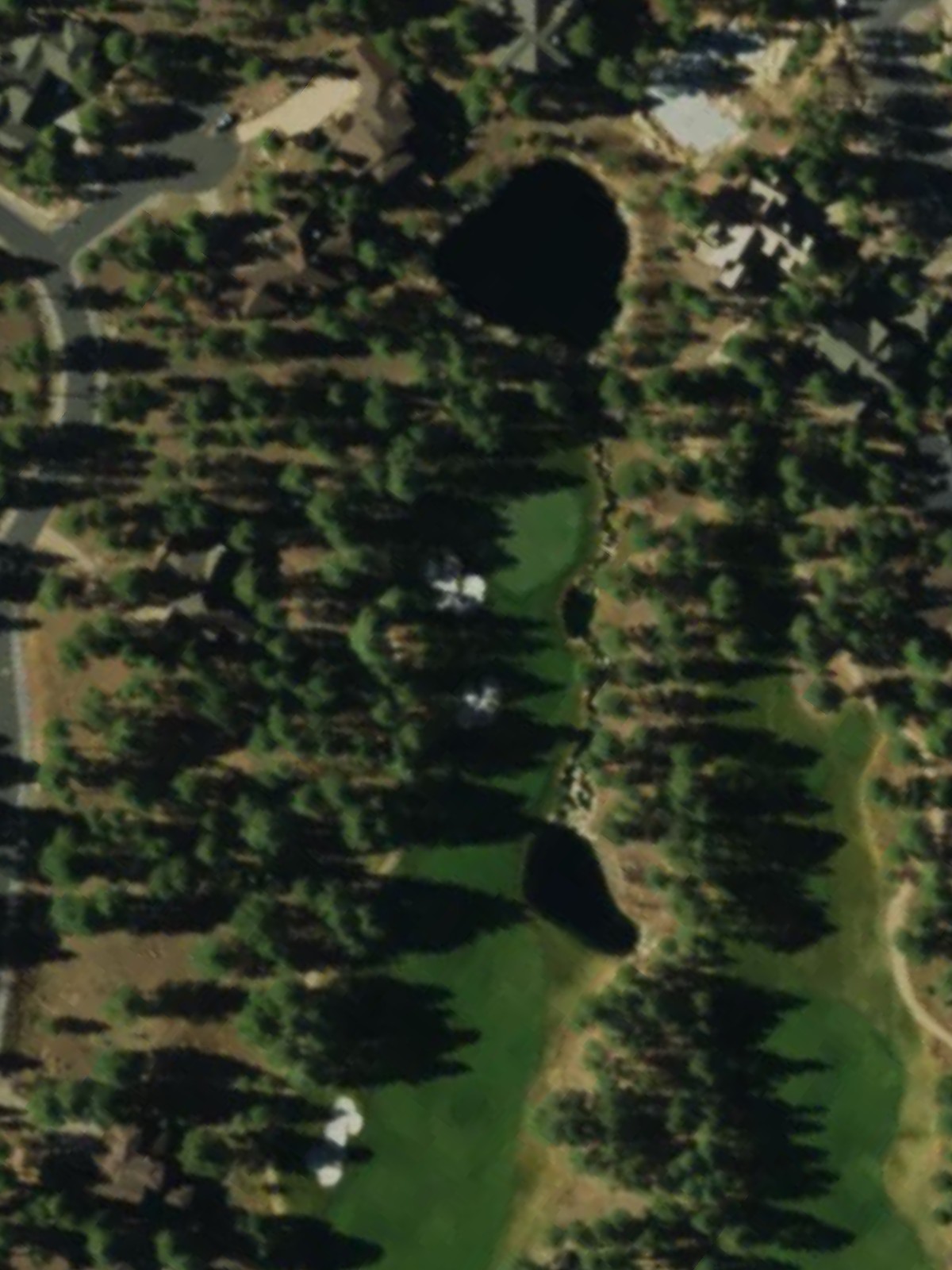 Hole 8 satellite