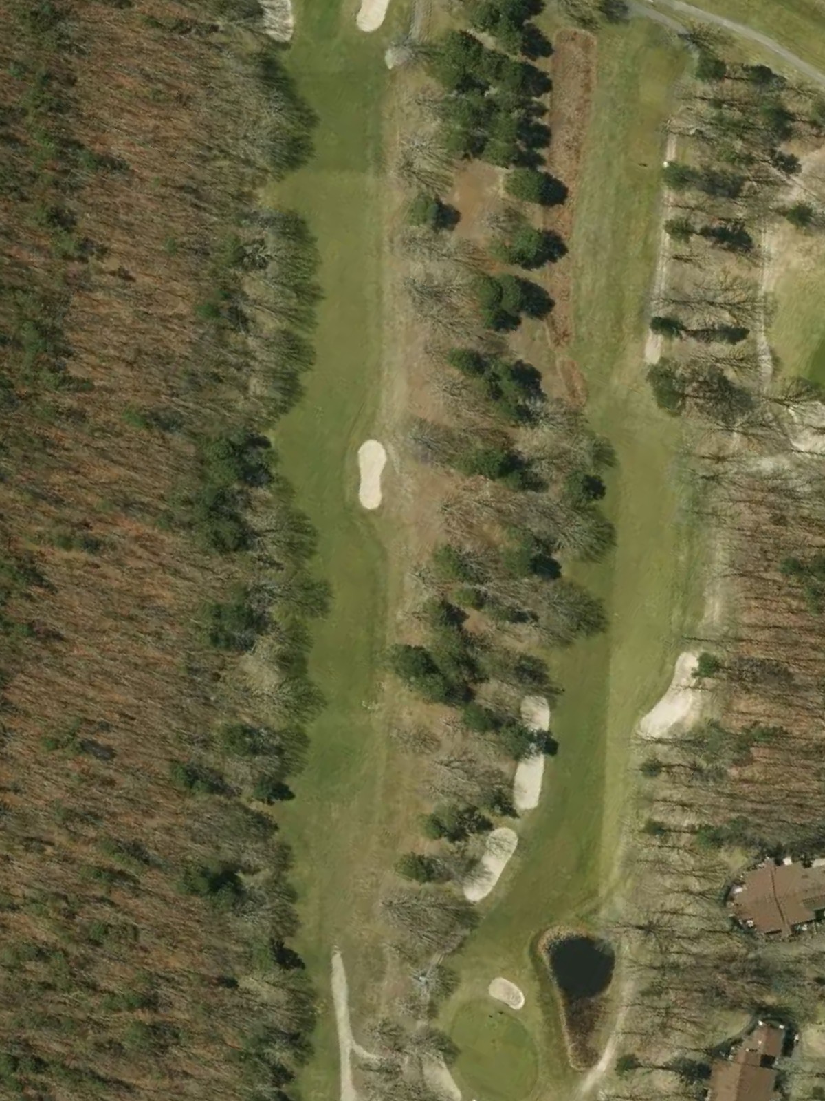 Hole 6 satellite