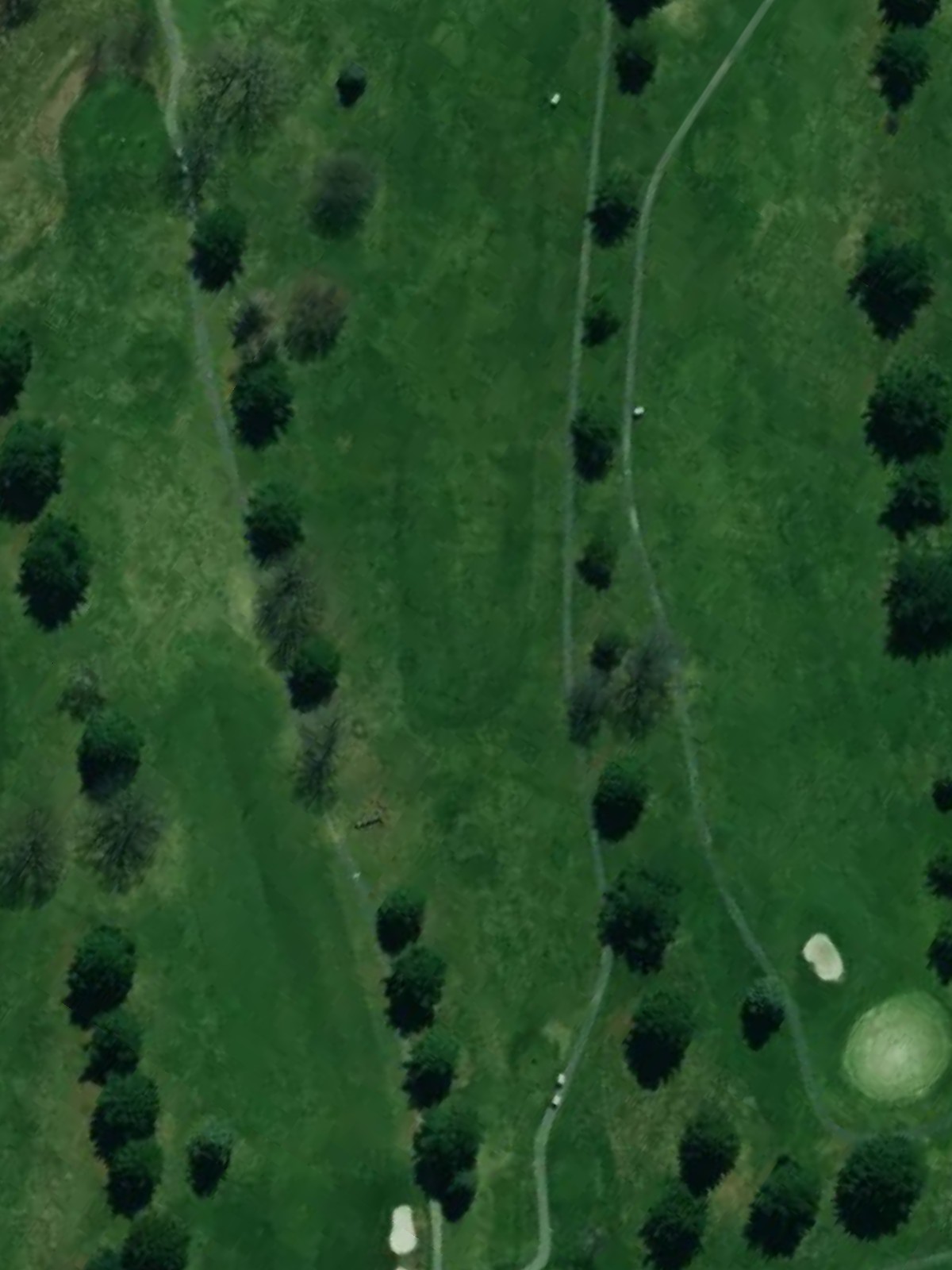 Hole 10 satellite