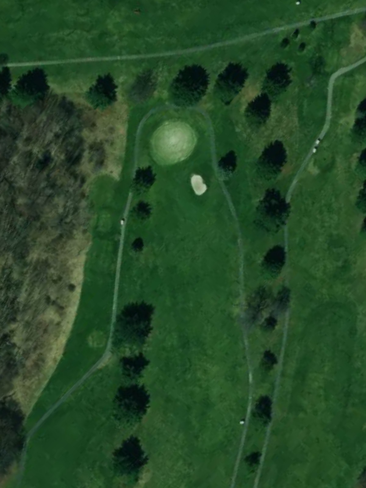 Hole 15 satellite