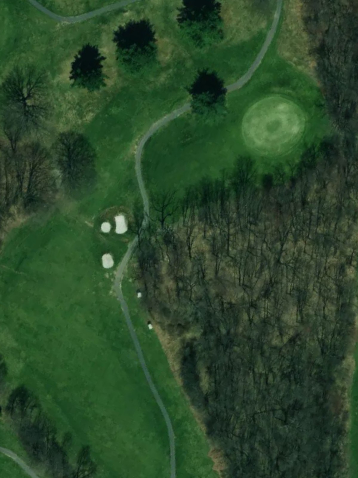 Hole 7 satellite