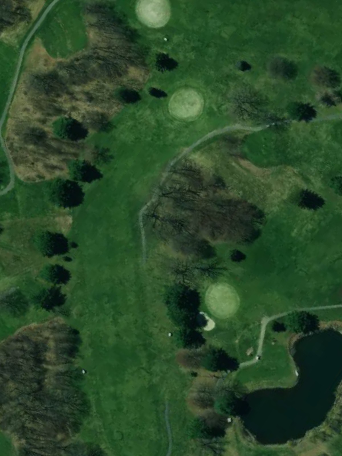 Hole 8 satellite