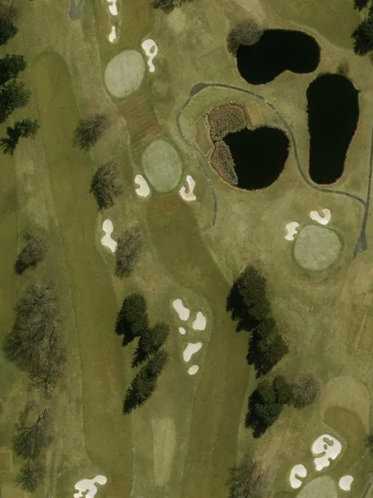 Hole 10 satellite