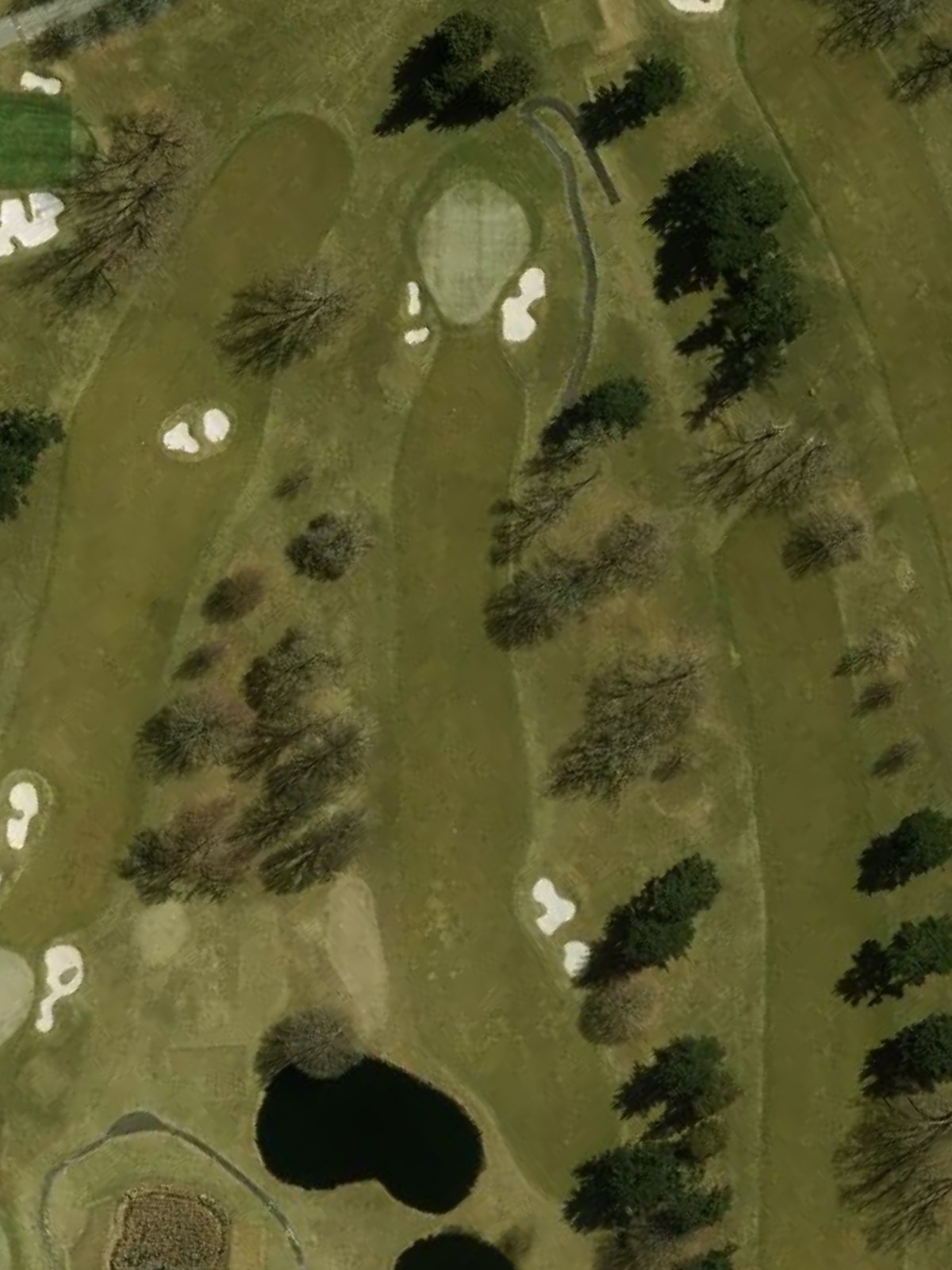Hole 12 satellite