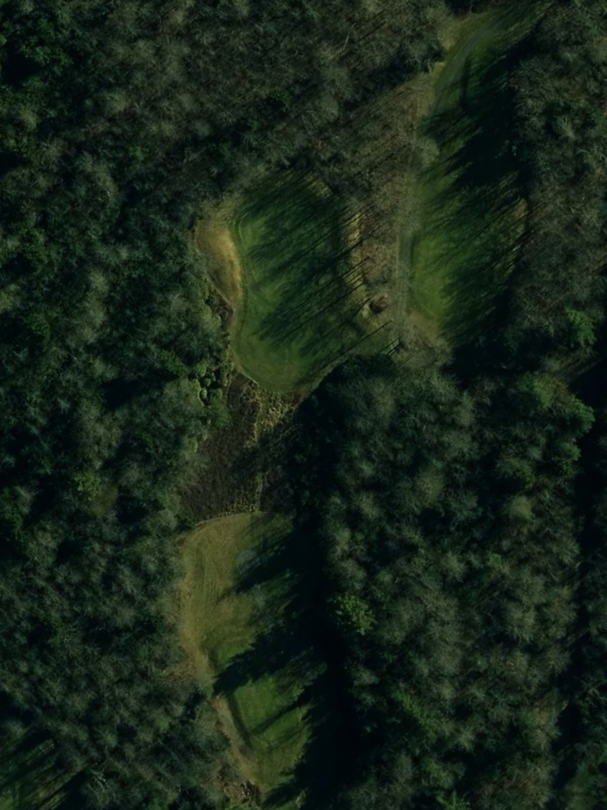 Hole 12 satellite