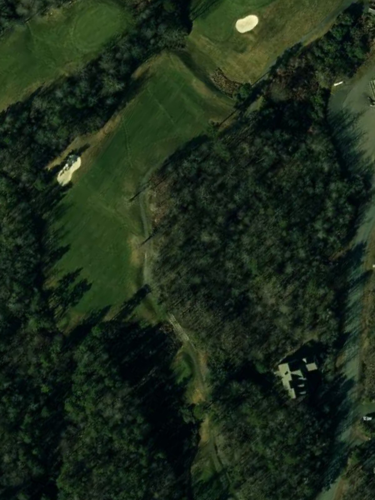 Hole 9 satellite