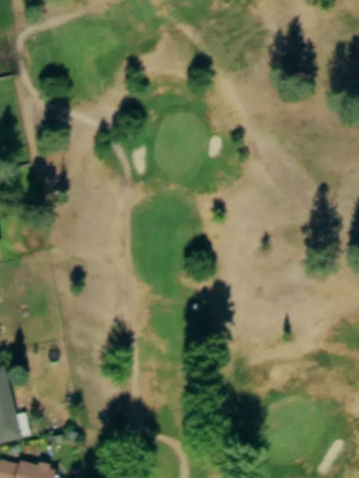 Hole 6 satellite