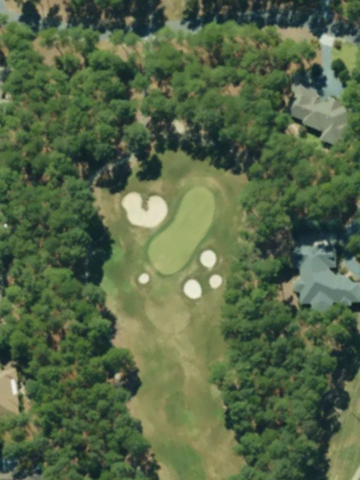 Hole 7 satellite