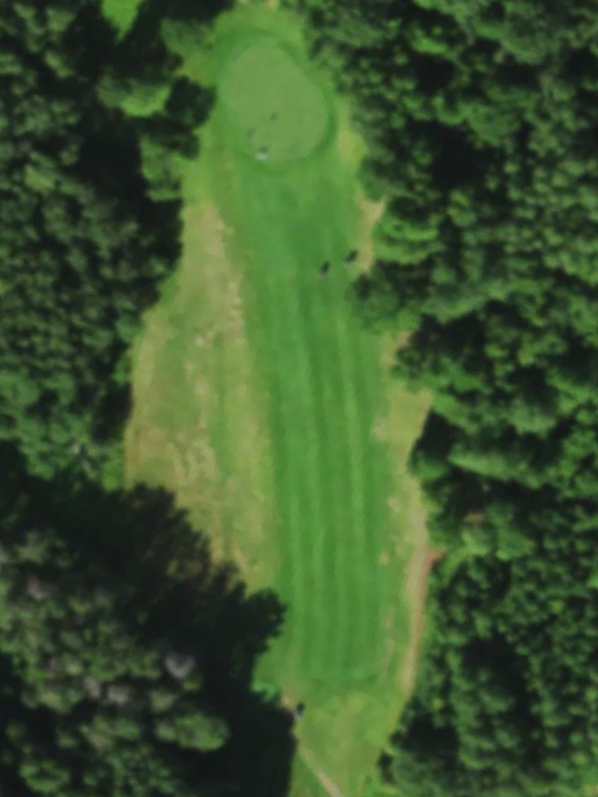 Hole 12 satellite