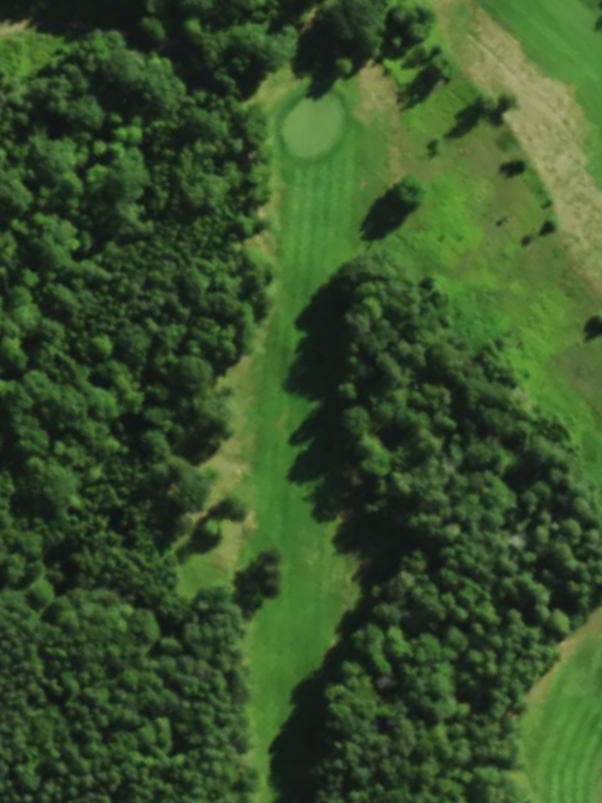 Hole 15 satellite