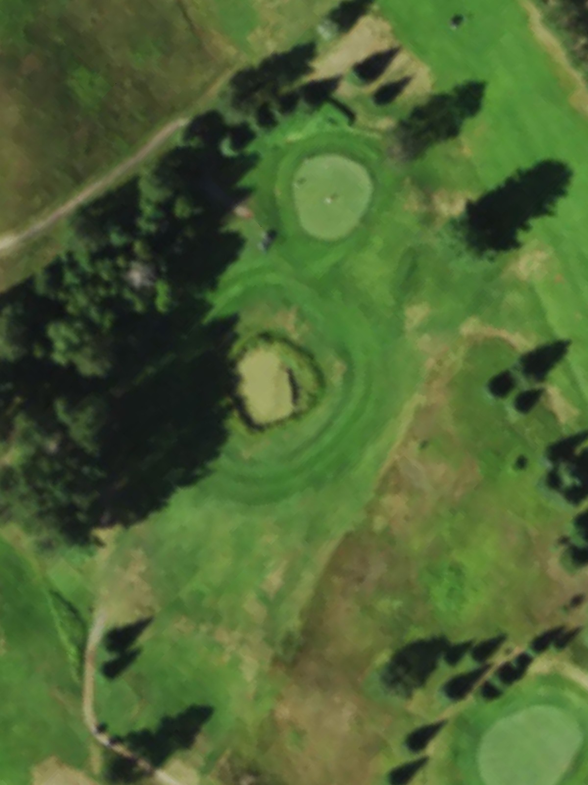 Hole 7 satellite