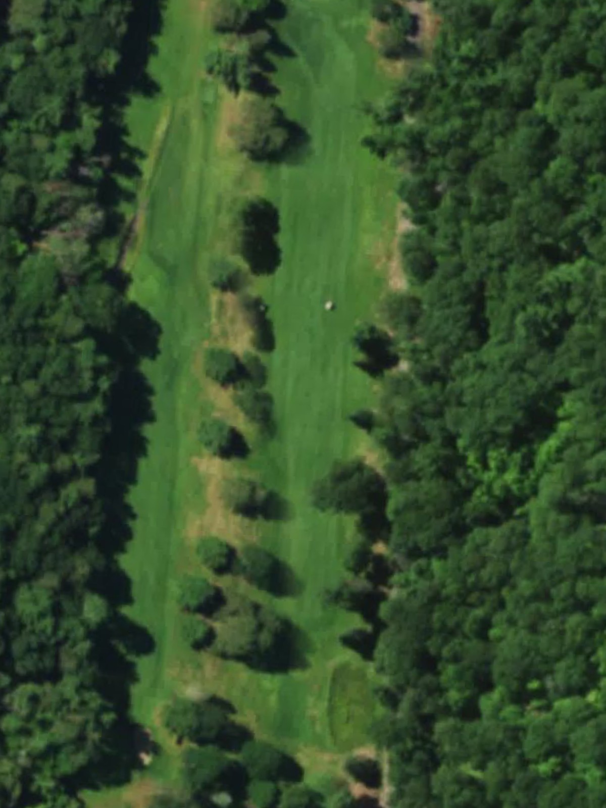 Hole 1 satellite