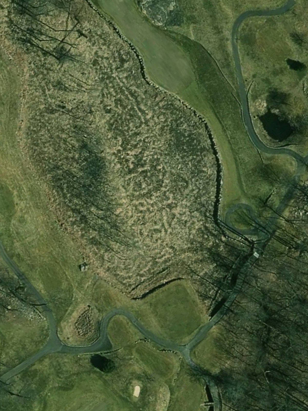 Hole 15 satellite