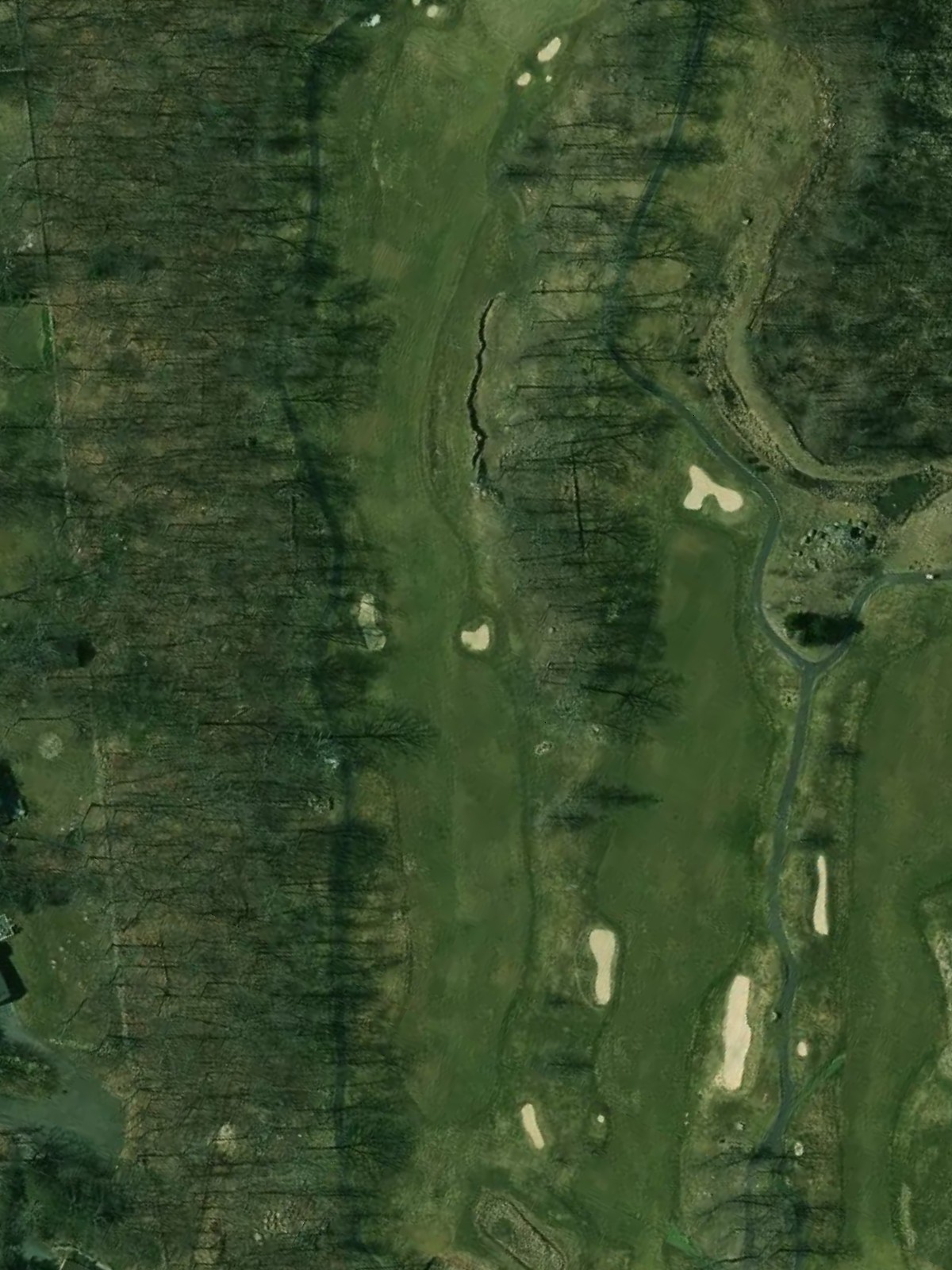 Hole 7 satellite