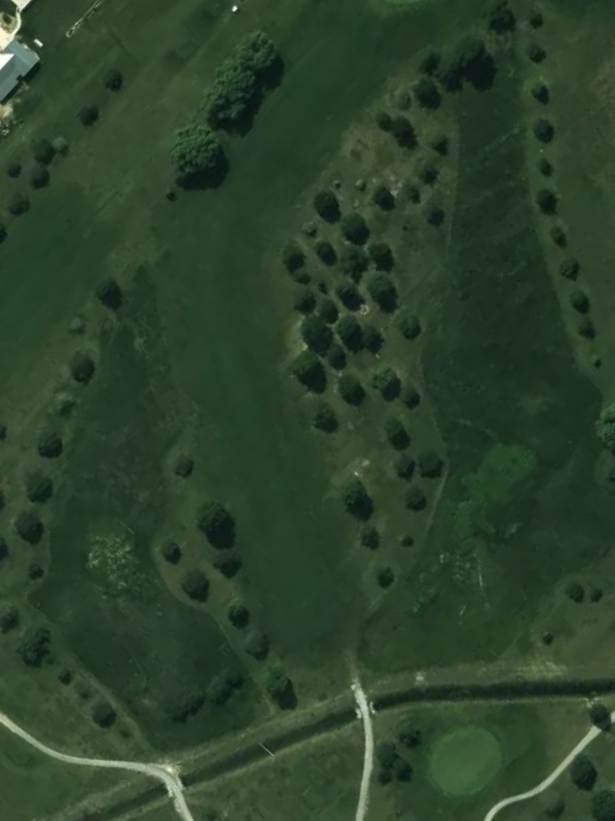 Hole 13 satellite