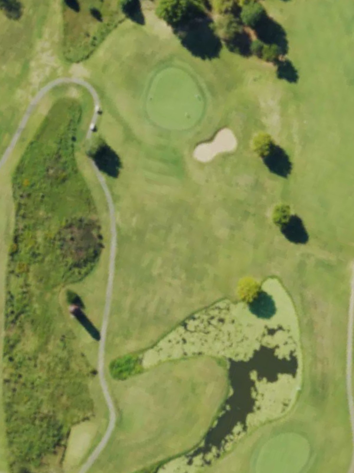 Hole 7 satellite