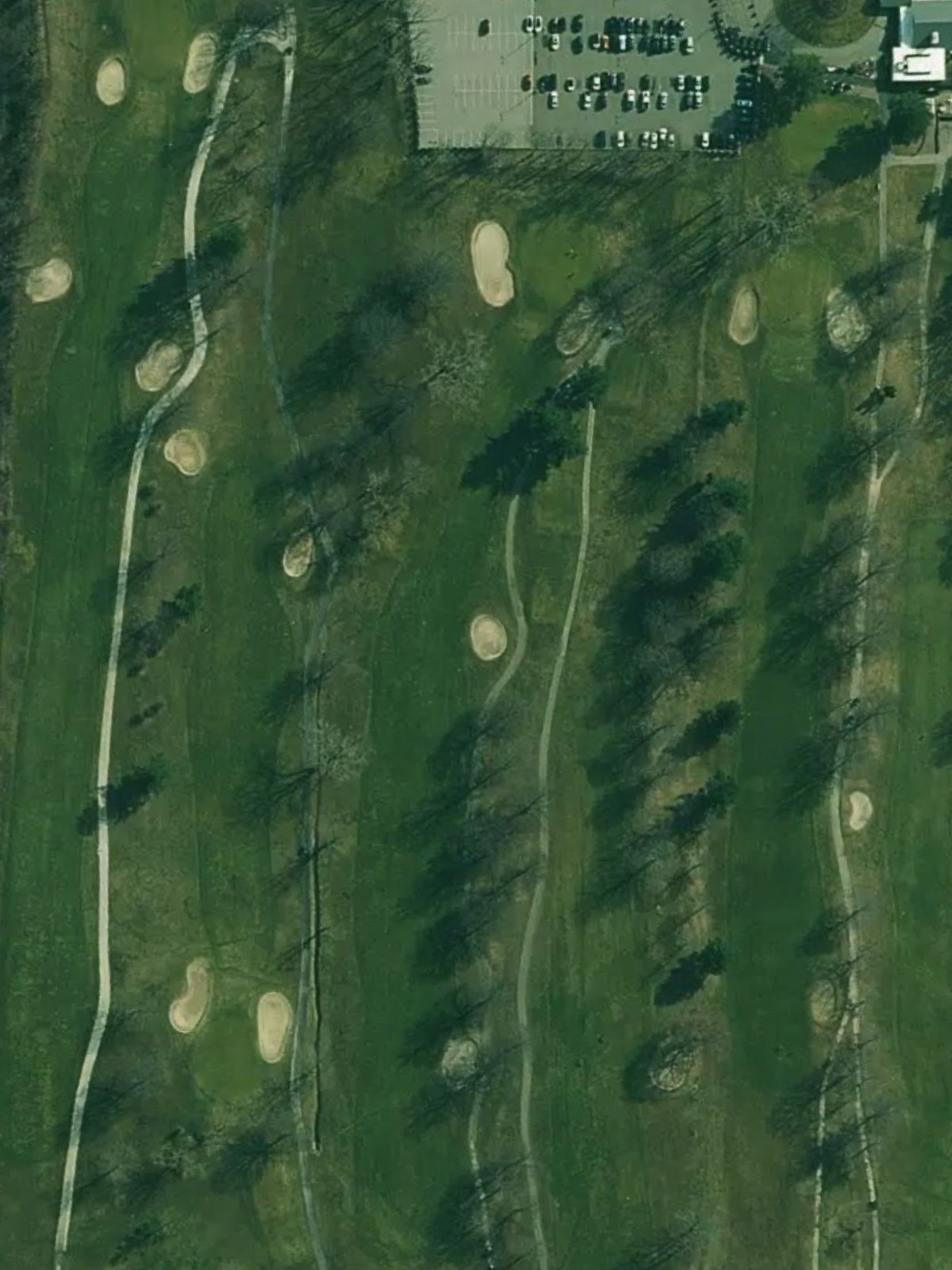 Hole 7 satellite