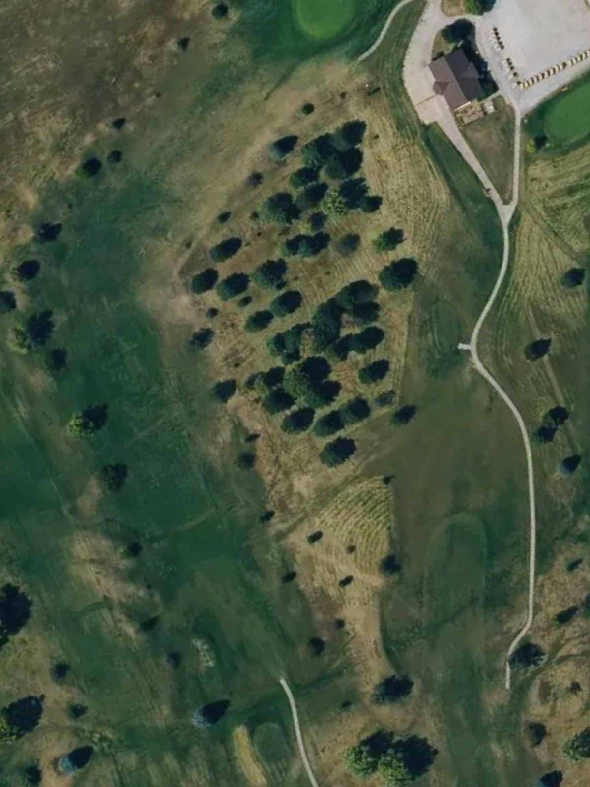 Hole 6 satellite
