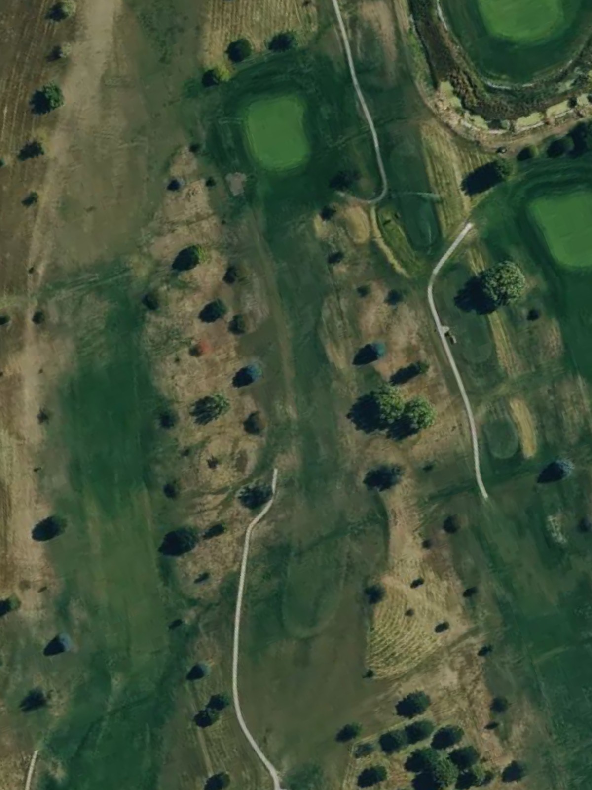 Hole 7 satellite