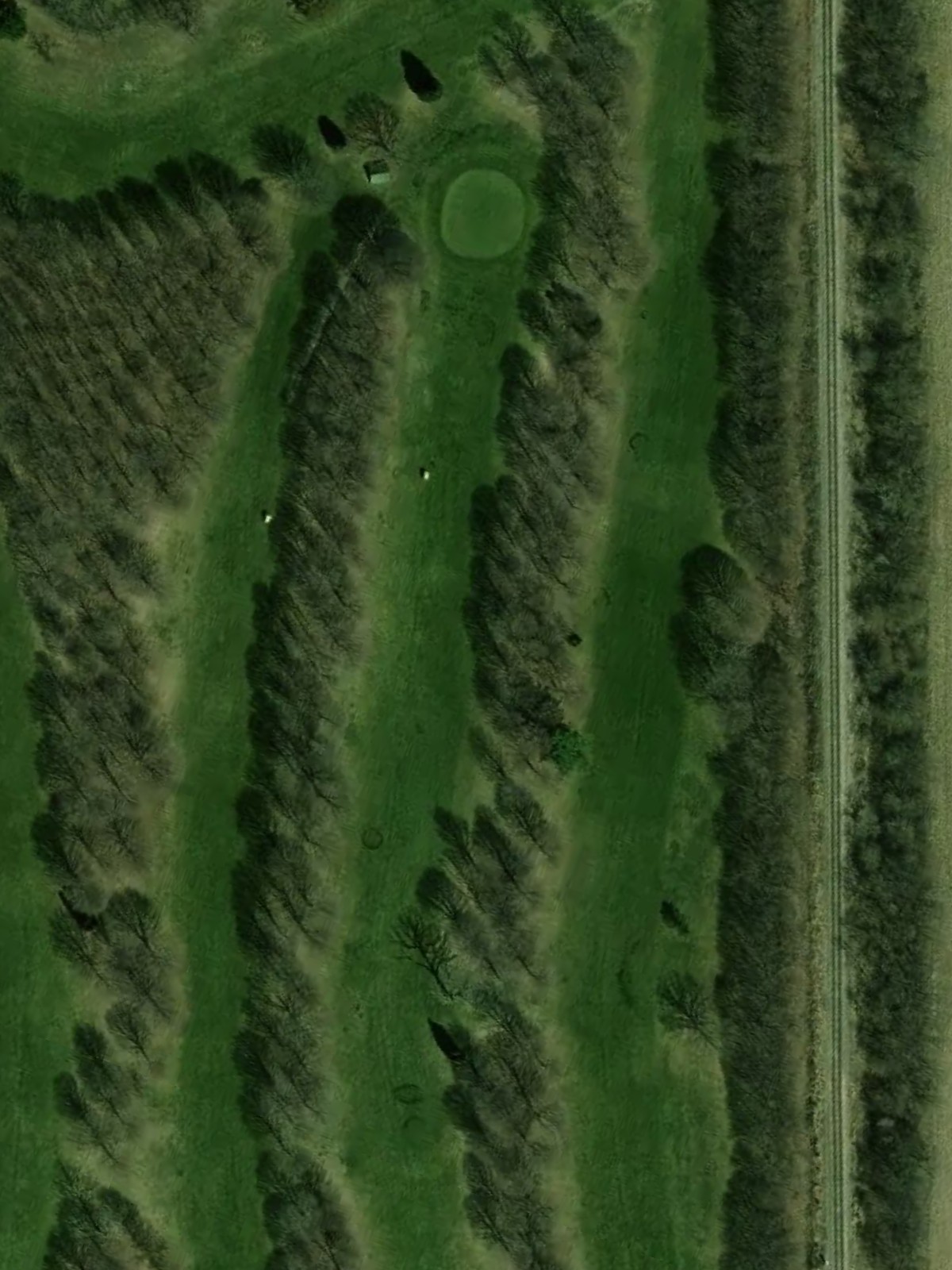 Hole 5 satellite