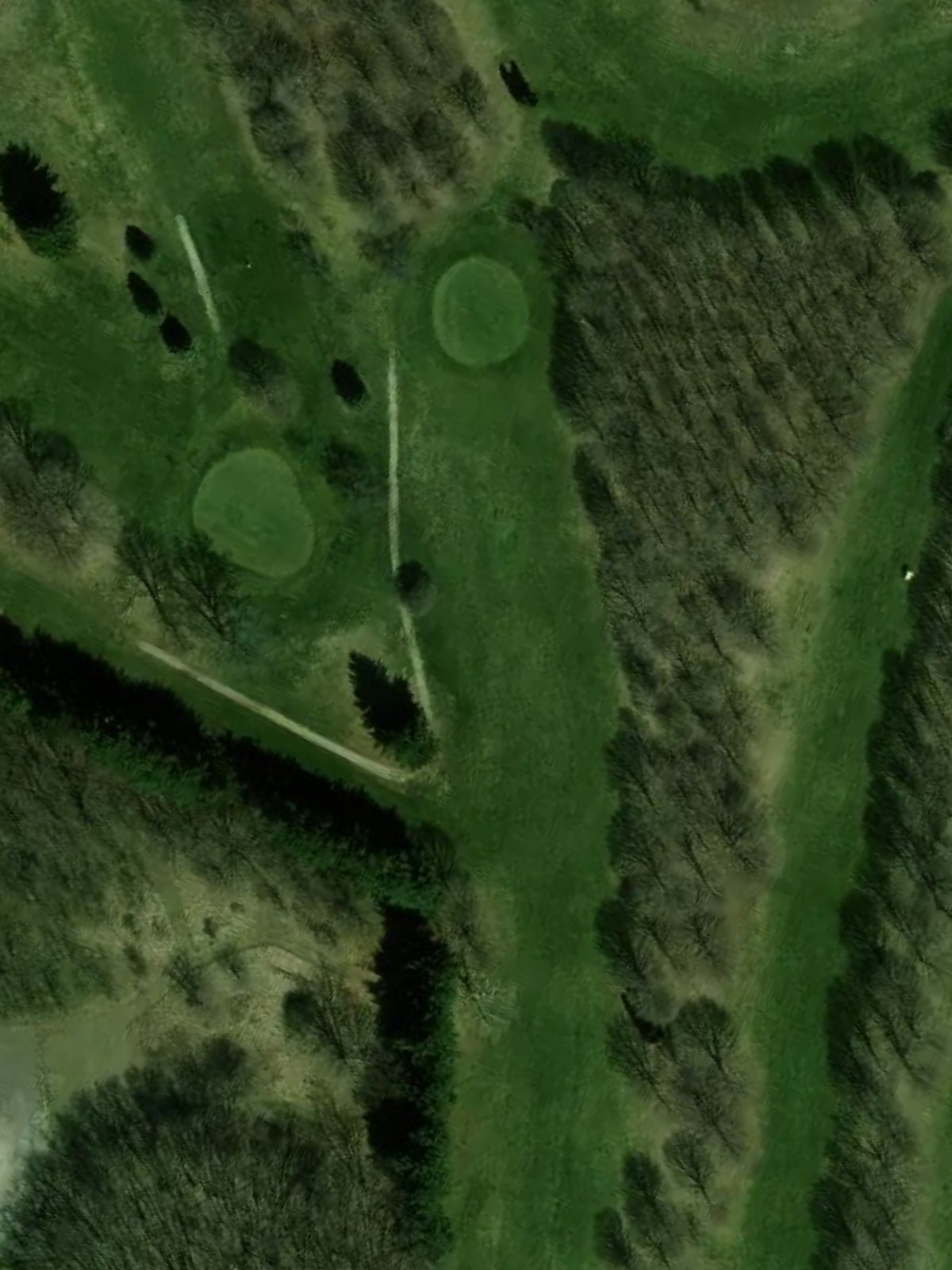 Hole 7 satellite